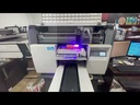 Flashjet Mini